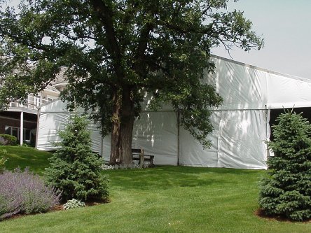 Image of tent for backyard reception in Des Moines Iowa