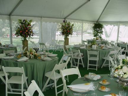 Interior View Frame Tent with screen walls for backyard party